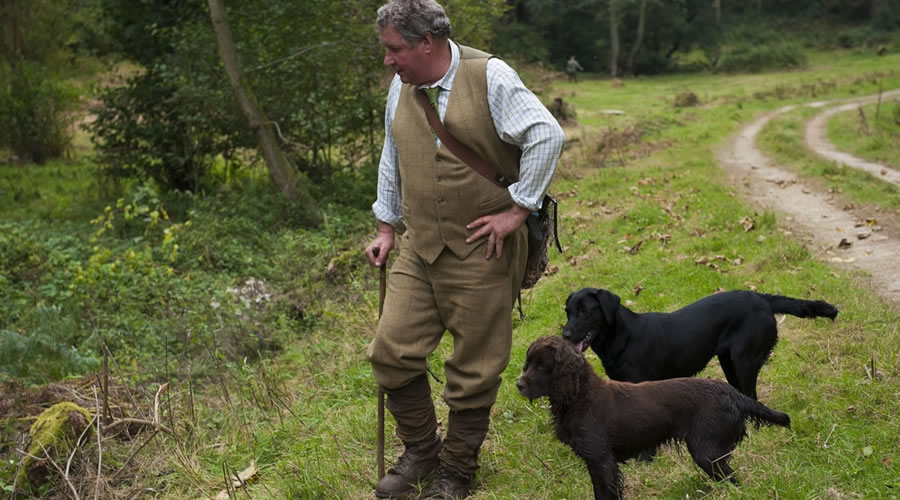 Jack Peckitt with gundogs